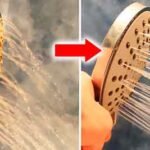 Repair Shower Head - Shower head is humming - Fix Shower Head Low Water Pressure