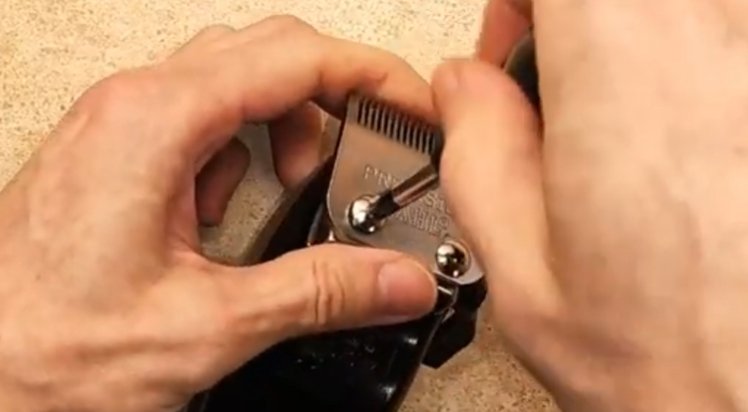 1. Remove the Blade. Turn off the clipper and unplug it if necessary.